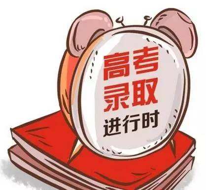 山东2019年高考本科录取结束 共录取考生279085人