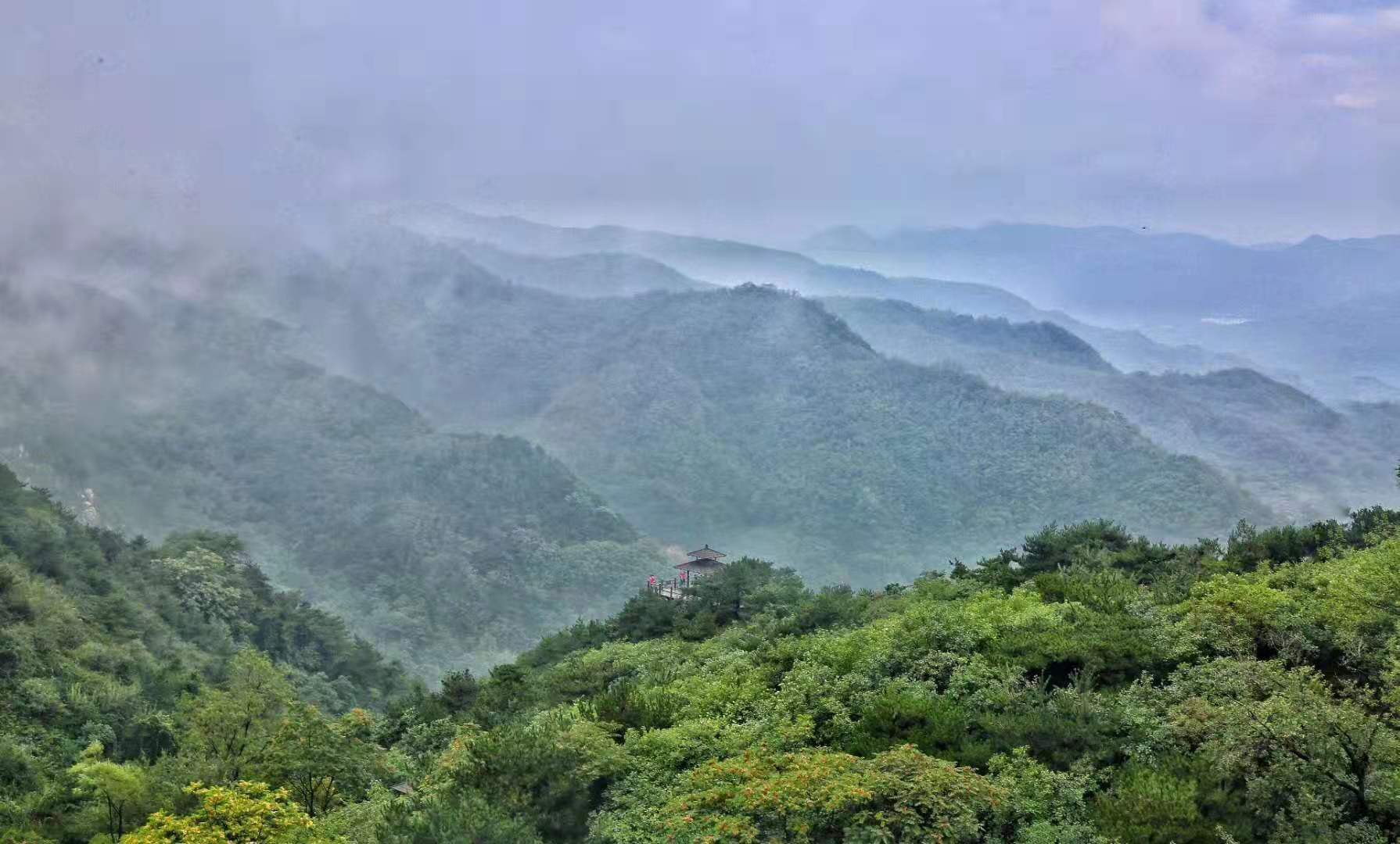 来看！持续降雨造就绝美九如！