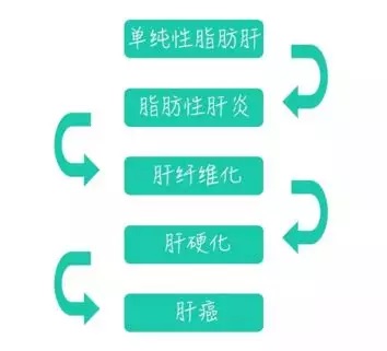 拒绝“肝”扰，健康生活每一天