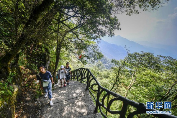 重庆金佛山：喀斯特地貌显奇观