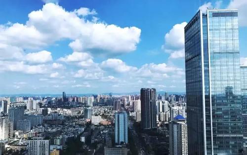 植根上海的新经济企业呈现集体爆发态势