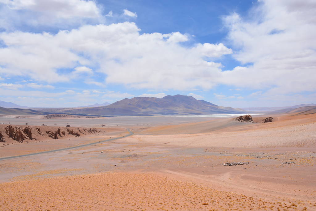 阿塔卡马沙漠微生物带来新启示 火星生命可能也会“随风飘移”