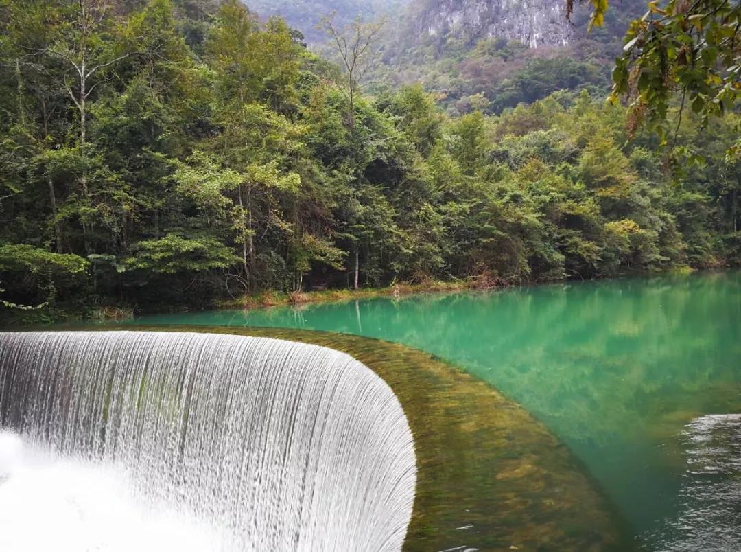 教师凭证尽情嗨，嘉华旅游定制多款“感念师恩”金秋游