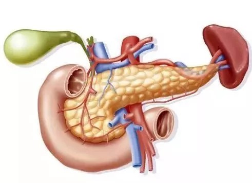 microRNA甲基化助力胰腺癌早期筛查，攻克胰腺癌有了质的飞跃