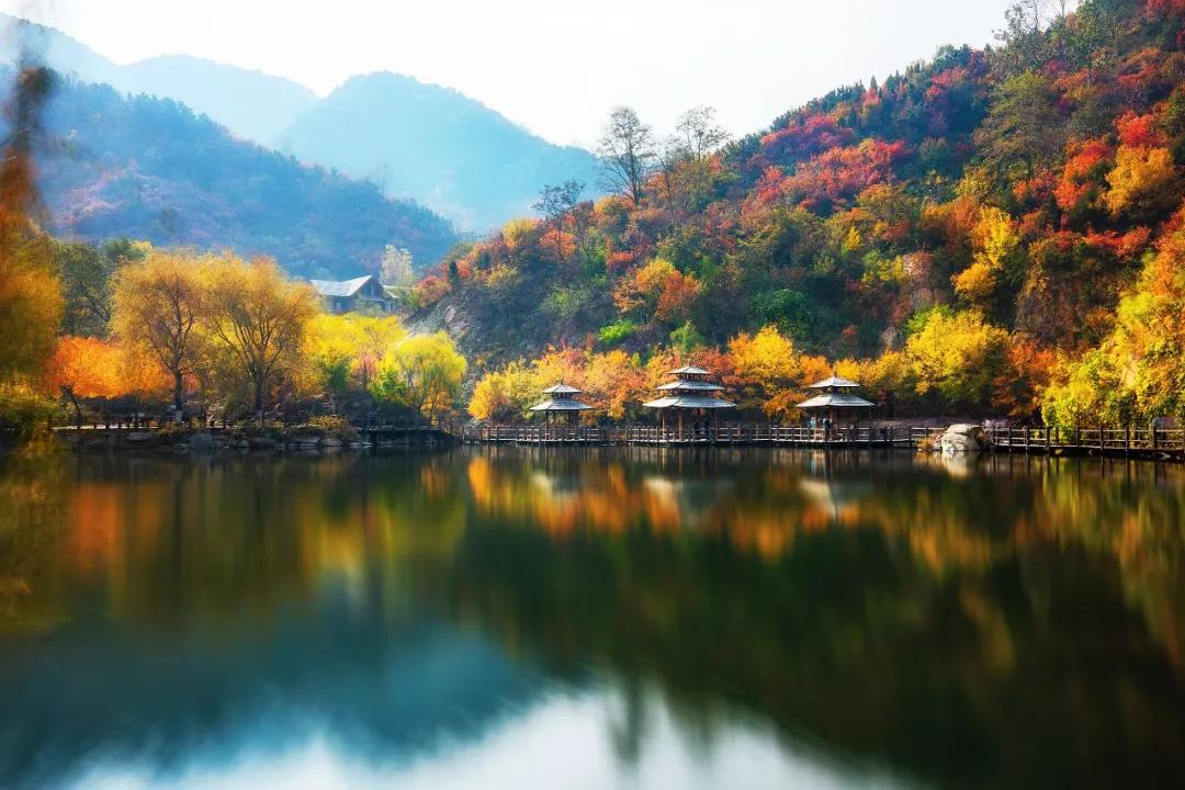 济南九如山第五届红枫节拉开序幕！一个更浪漫的赏秋方式！