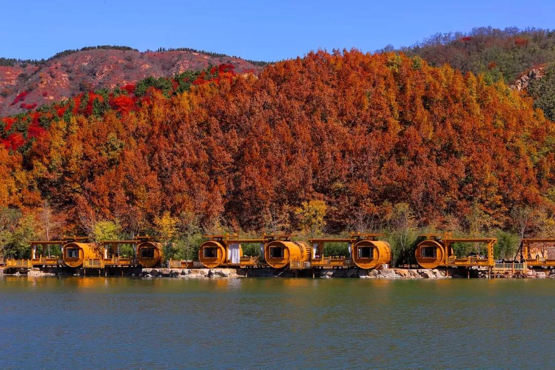 济南九如山第五届红枫节拉开序幕！一个更浪漫的赏秋方式！