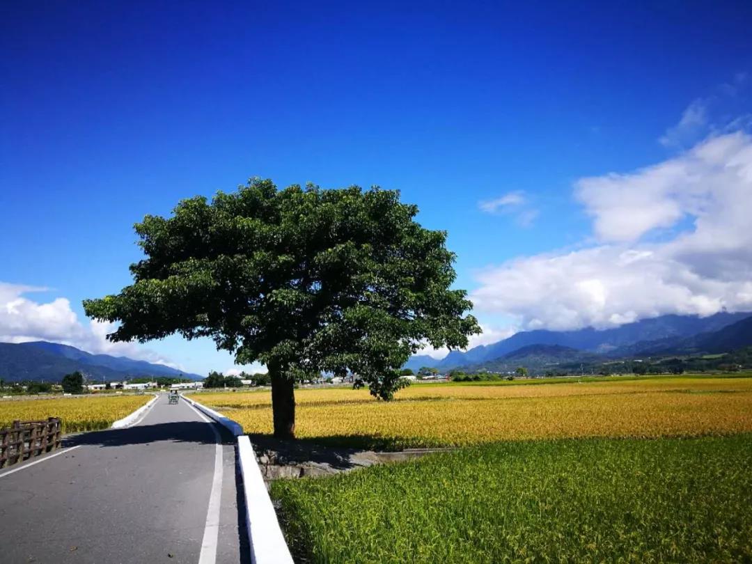 嘉华旅游 | 做人要有大格局，更要......