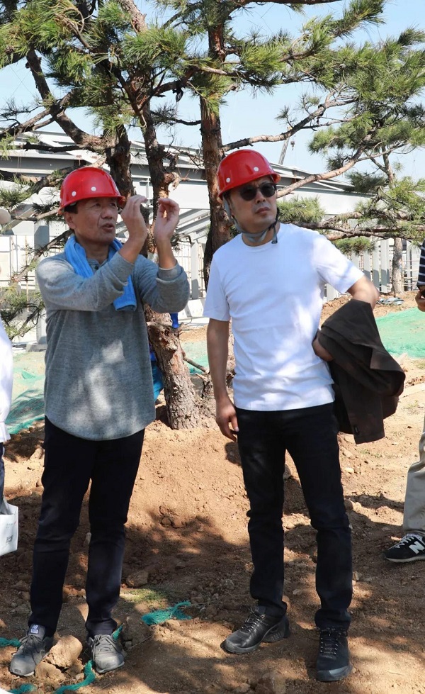 青岛西海艺术湾特邀日本皇家景观园艺师天川先生美化园林