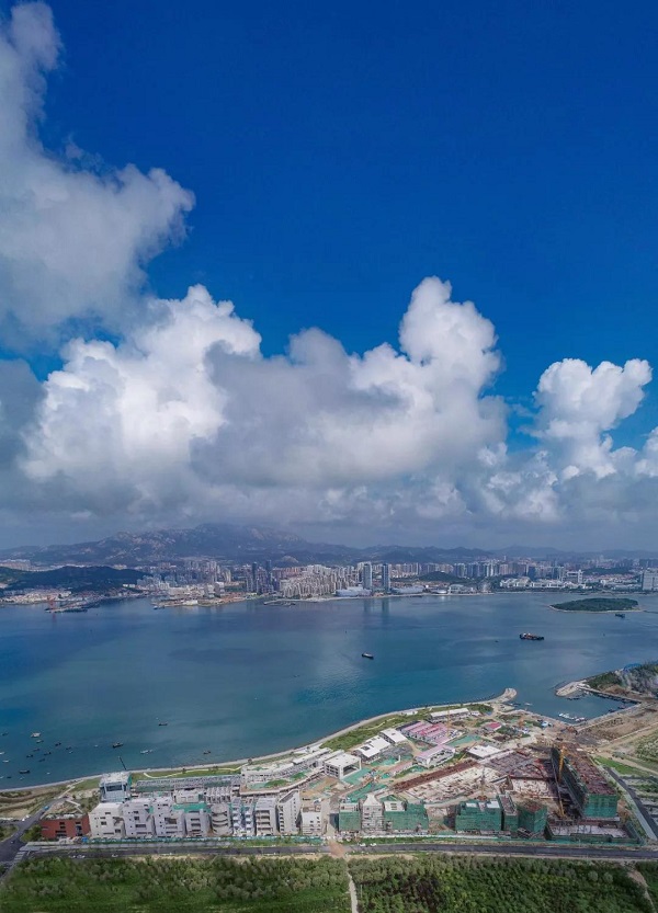 青岛西海艺术湾特邀日本皇家景观园艺师天川先生美化园林