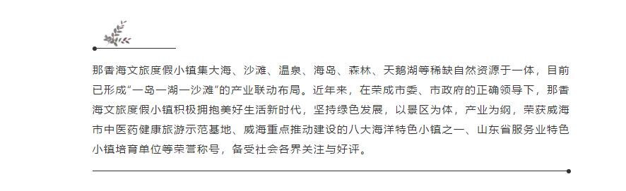 山东省发改委领导一行莅临那香海文旅度假小镇参观考察