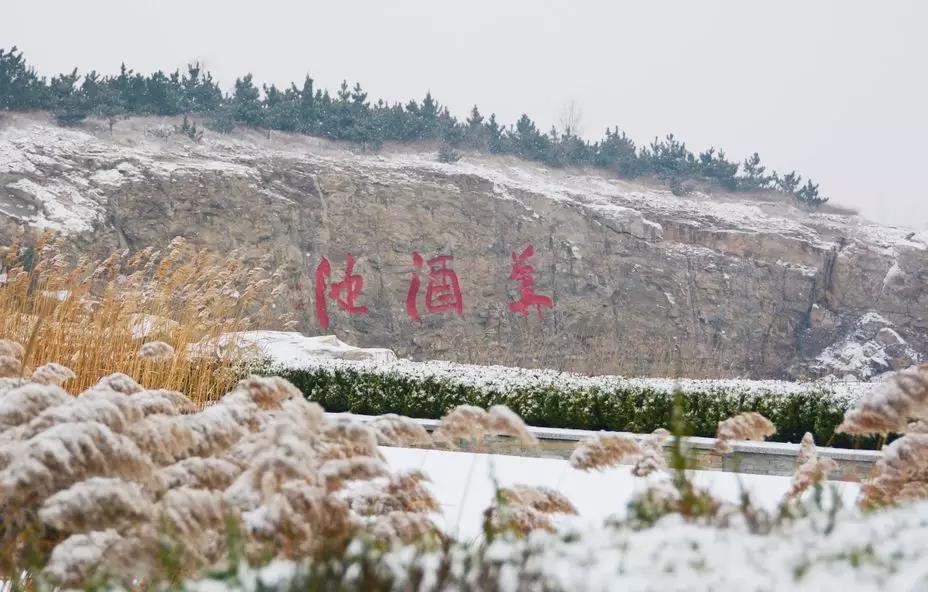 一家人在齐鲁酒地的田园生活，日子过得竟比童话还美！