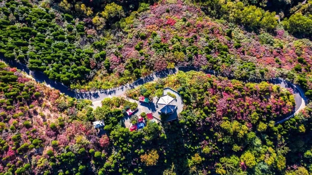 嘉华旅游|最是一年秋好处， 我在秋天的济南等你