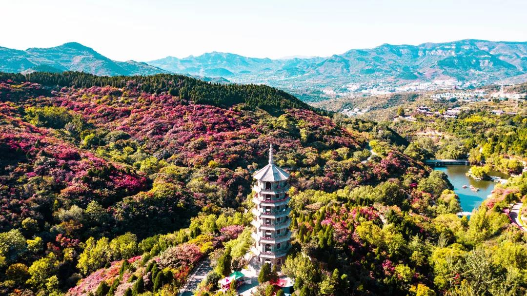 嘉华旅游|最是一年秋好处， 我在秋天的济南等你