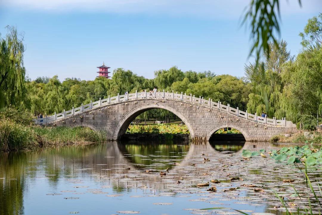 嘉华旅游|最是一年秋好处， 我在秋天的济南等你