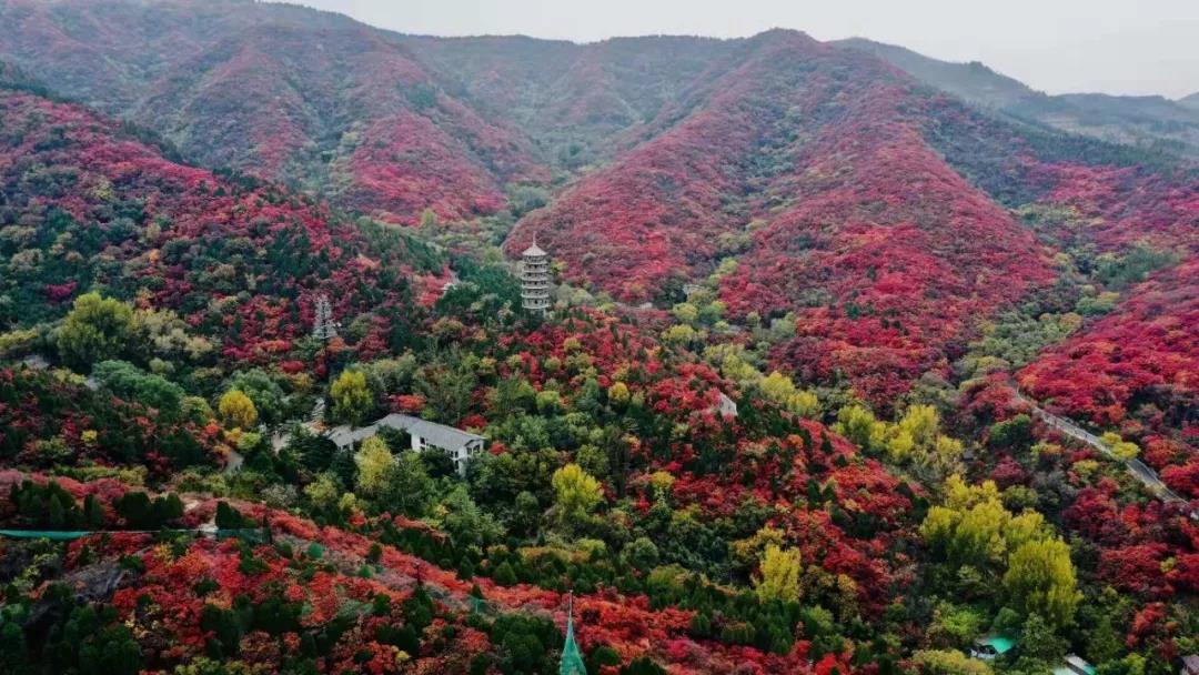 嘉华旅游|美景撩人！赏红叶、泡温泉、观圣景，一日即可！