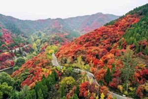 嘉华旅游|美景撩人！赏红叶、泡温泉、观圣景，一日即可！