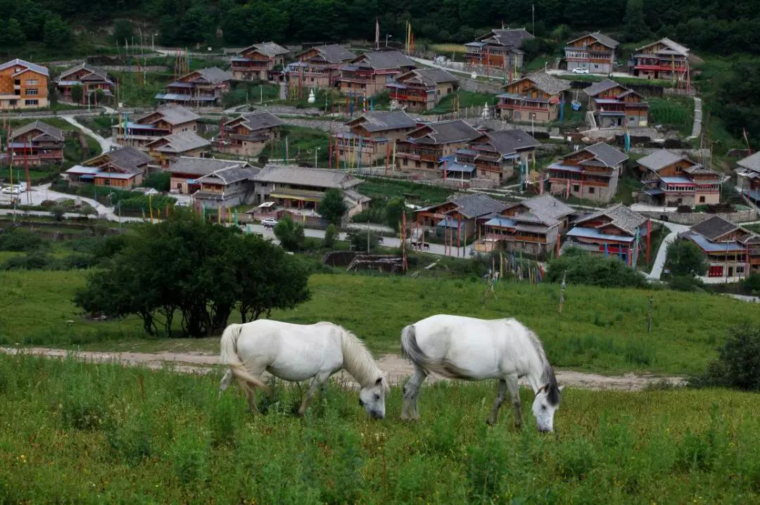 相约九寨|鲁能胜地带你领略不一样的中查沟藏家文化