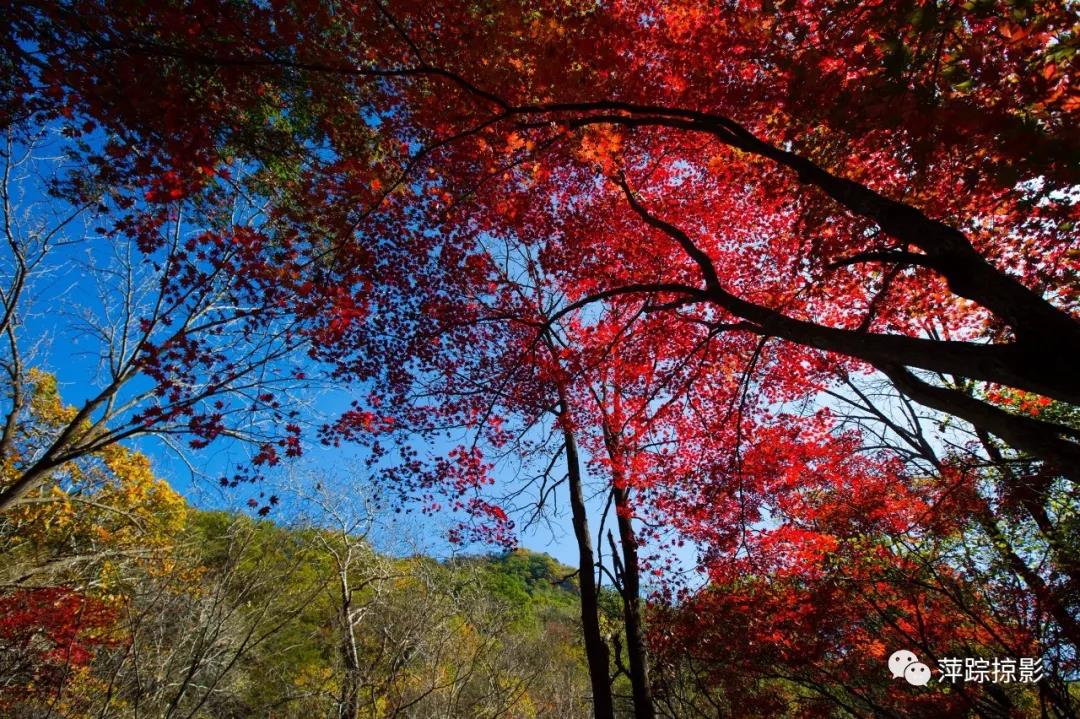 秋天的济南，遇见九如山