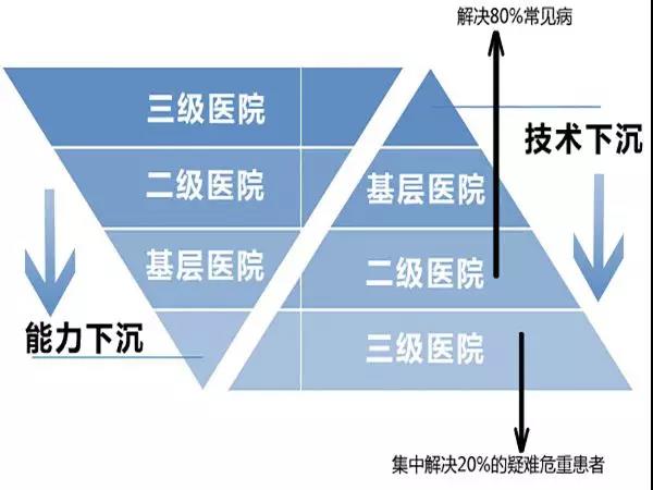 银丰国际生物城 | 12月1日起，山东省全面启动国家组织药品集中采购和试点