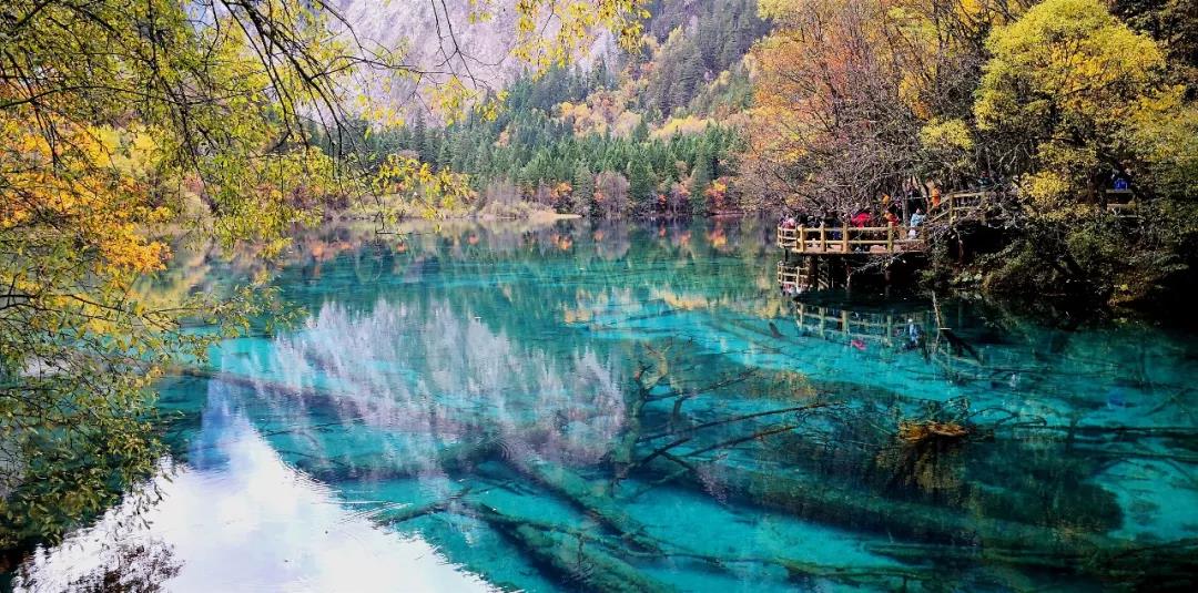 嘉华旅游|九寨归来不看水，悦赏金秋特别美