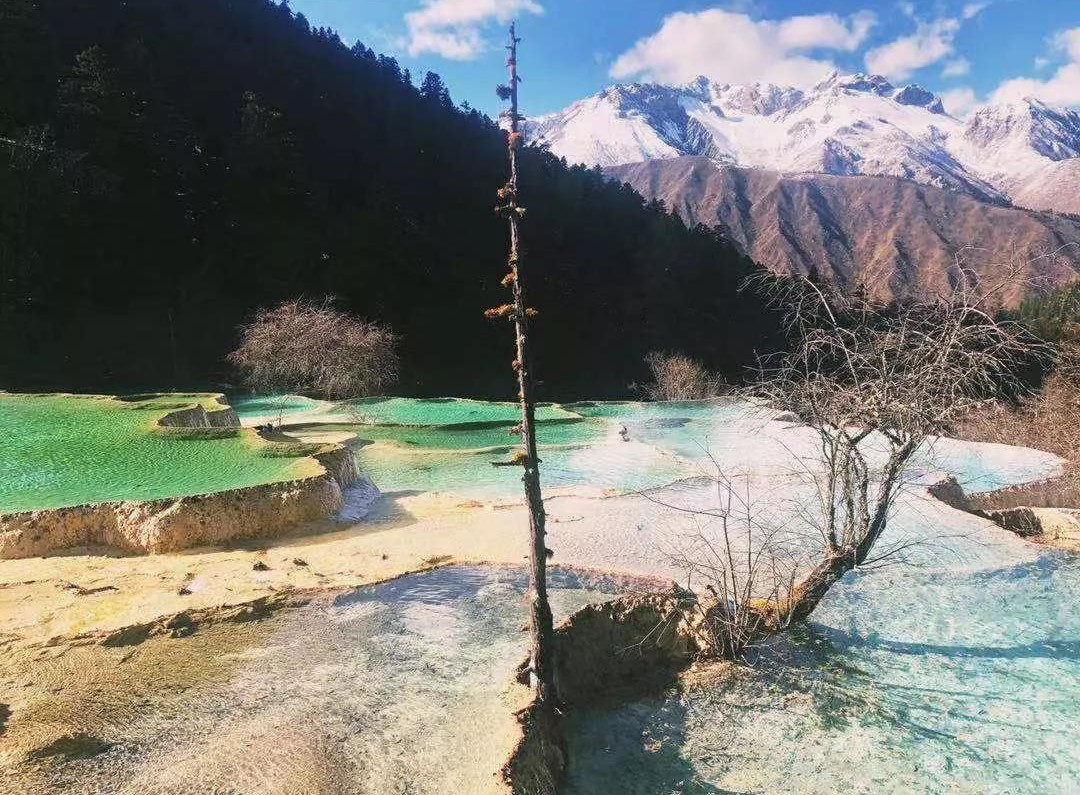 嘉华旅游|九寨归来不看水，悦赏金秋特别美