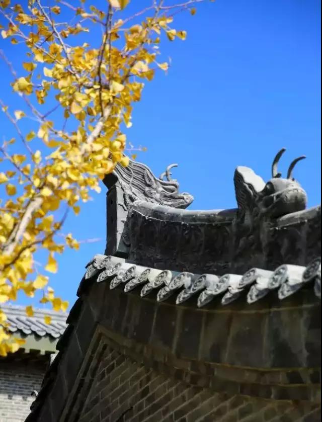 齐鲁酒地秋意浓，美酒池边赏秋枫