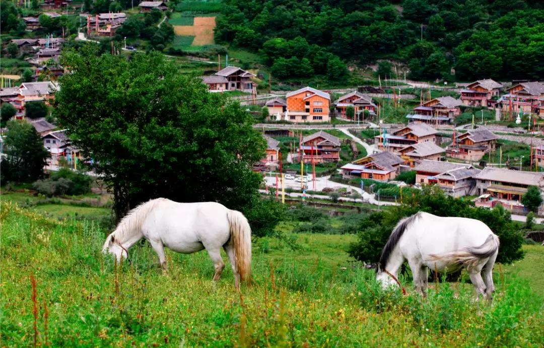 度假九寨鲁能胜地，领略藏家古寨风情