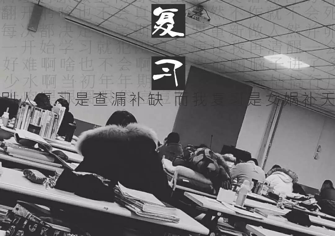 智博教育|专升本路上，与优秀的人同行