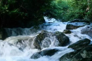 “五岳独尊”天然矿泉水——取自泰山，献给世界