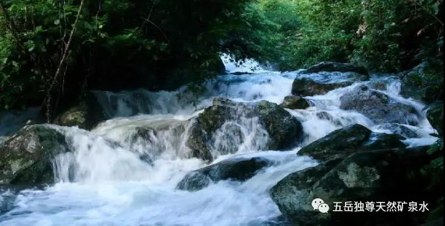 “五岳独尊”天然矿泉水——取自泰山，献给世界