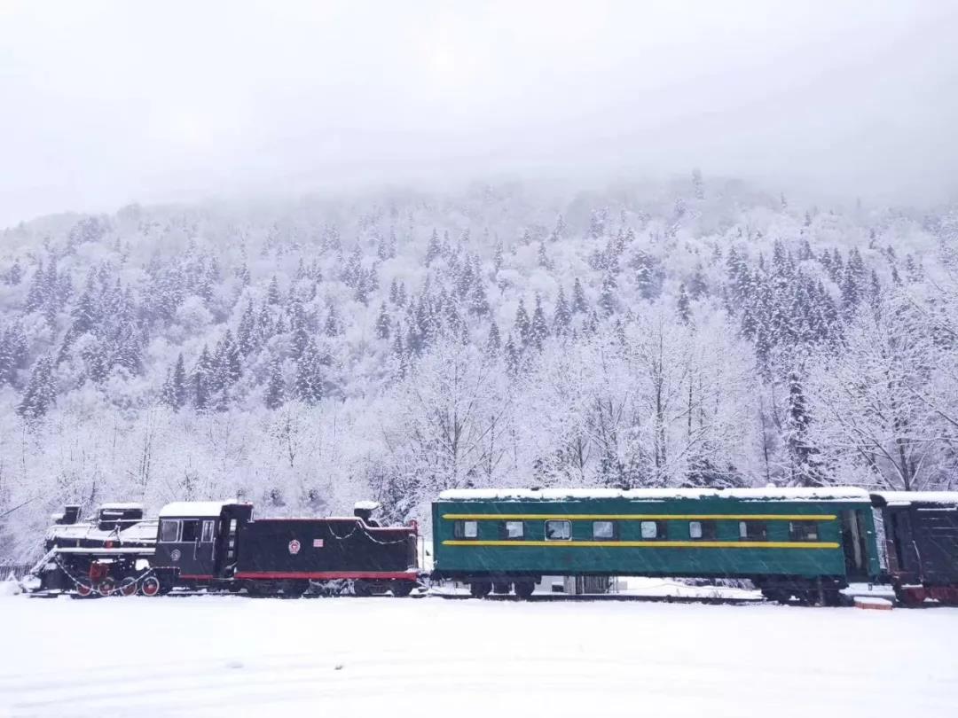 嘉华旅游|去雪乡看银装素裹，偶遇“白雪公主”