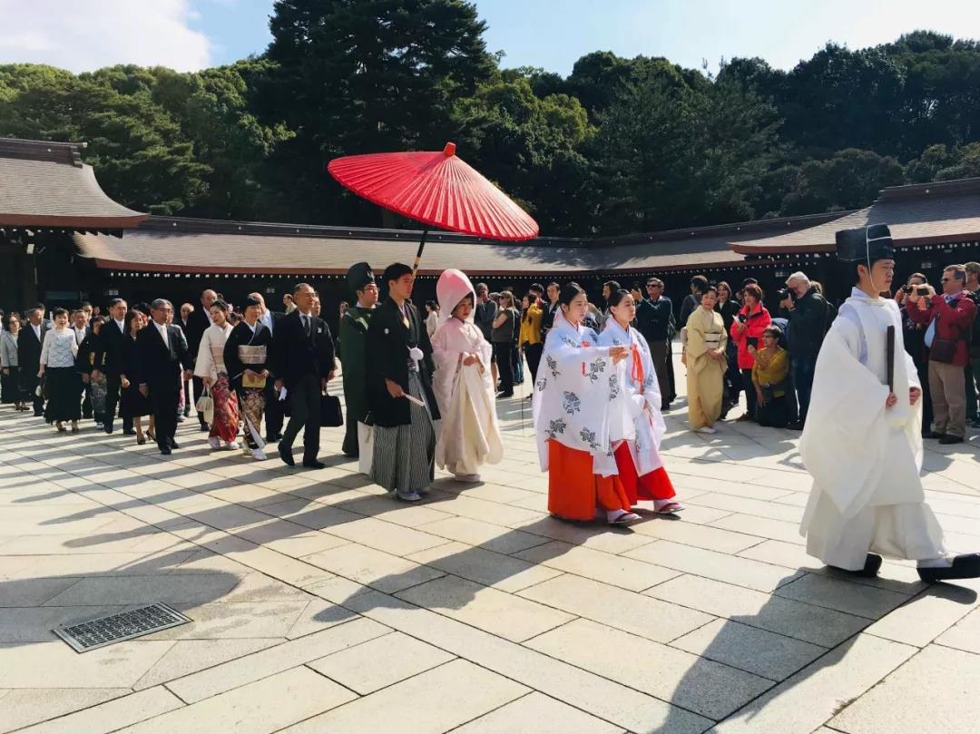 嘉华旅游|东瀛风光令人陶醉，特色温泉将心融化