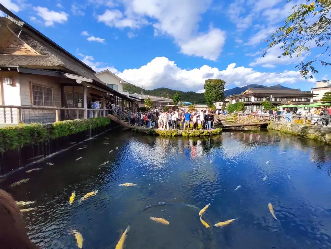 嘉华旅游|东瀛风光令人陶醉，特色温泉将心融化