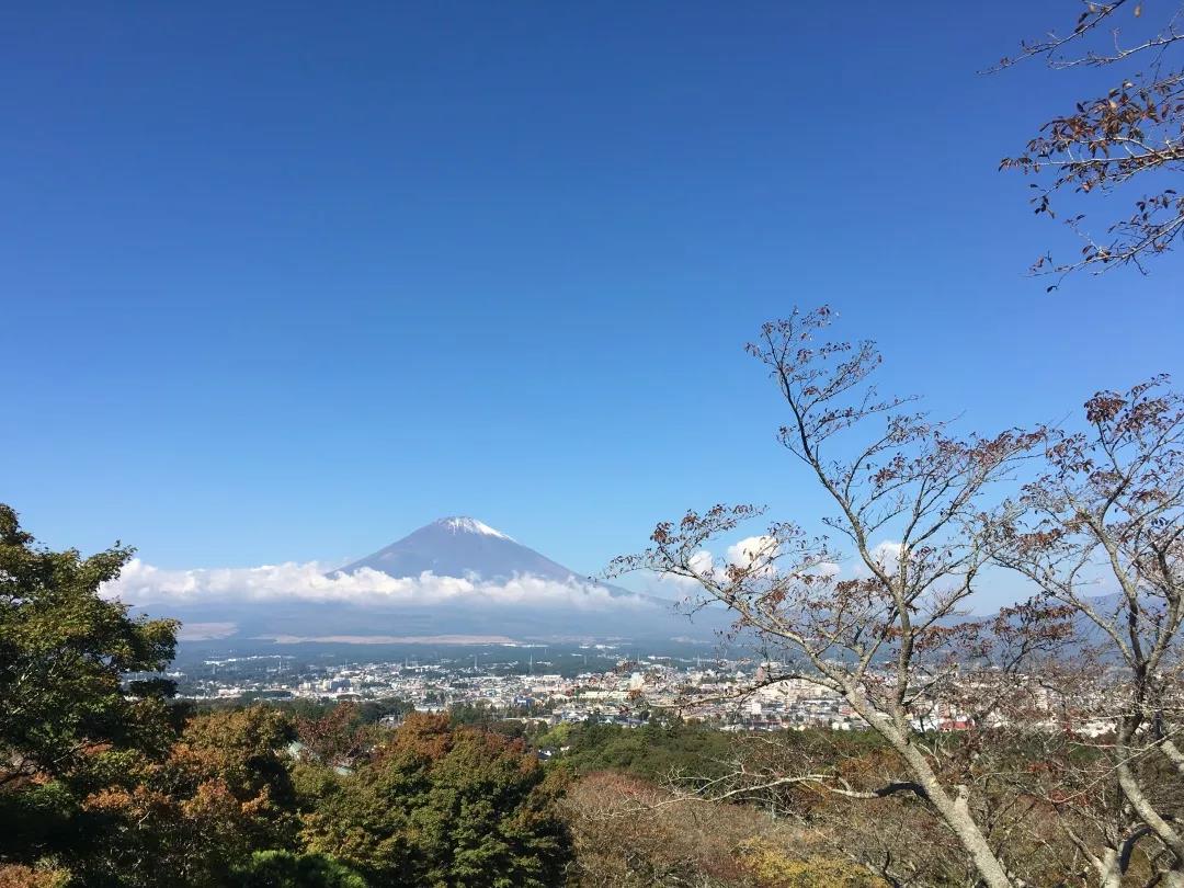 嘉华旅游|冬日出境游 日本最全攻略来了！