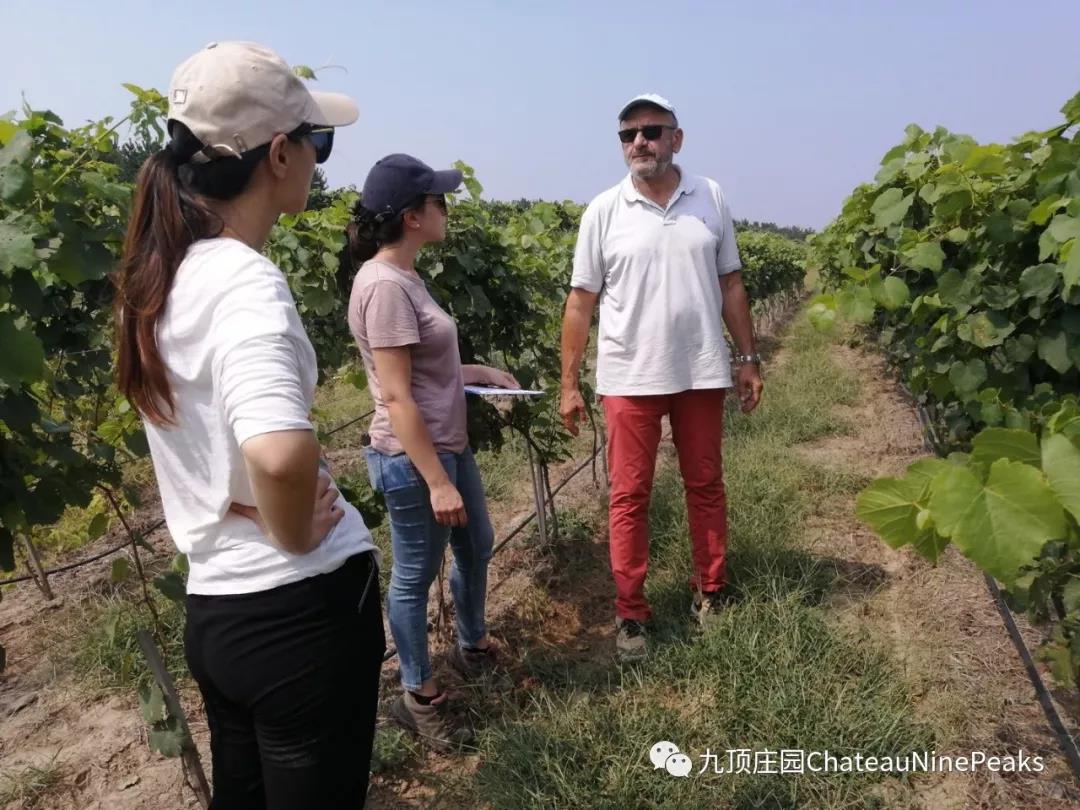 专访：青岛九顶庄园首席酿酒顾问——马克与葡萄酒特殊情缘