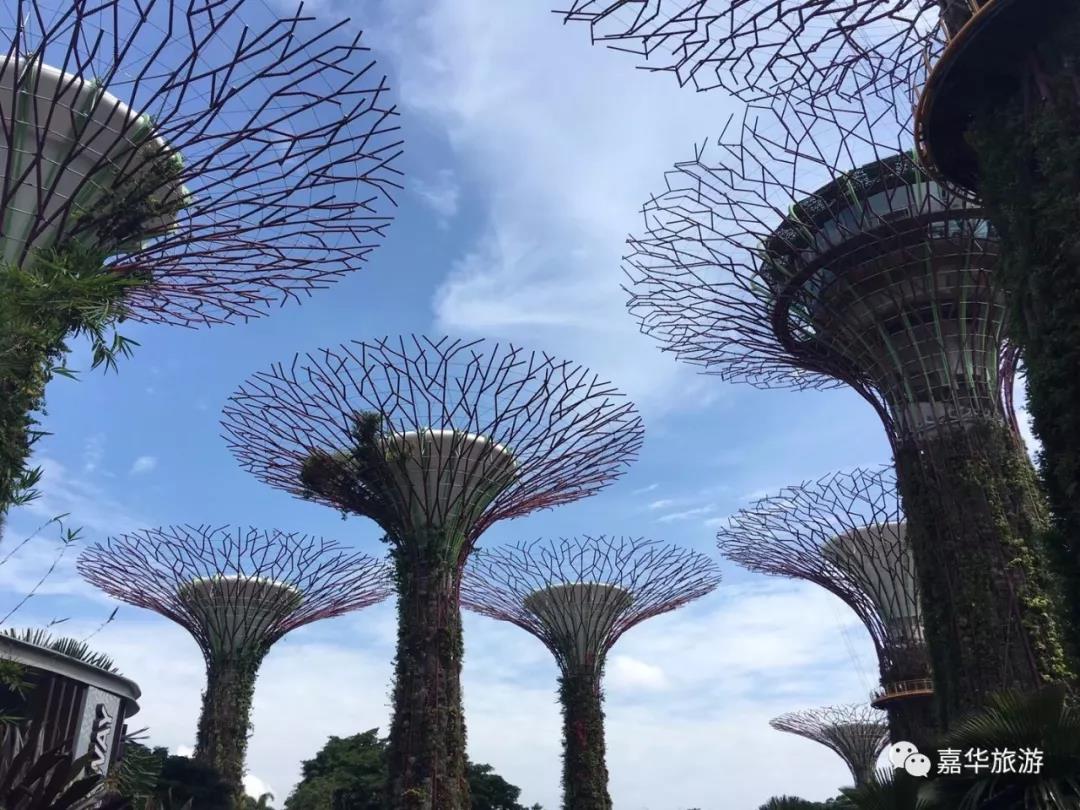 嘉华旅游|春节“遛娃”游，首选新加坡