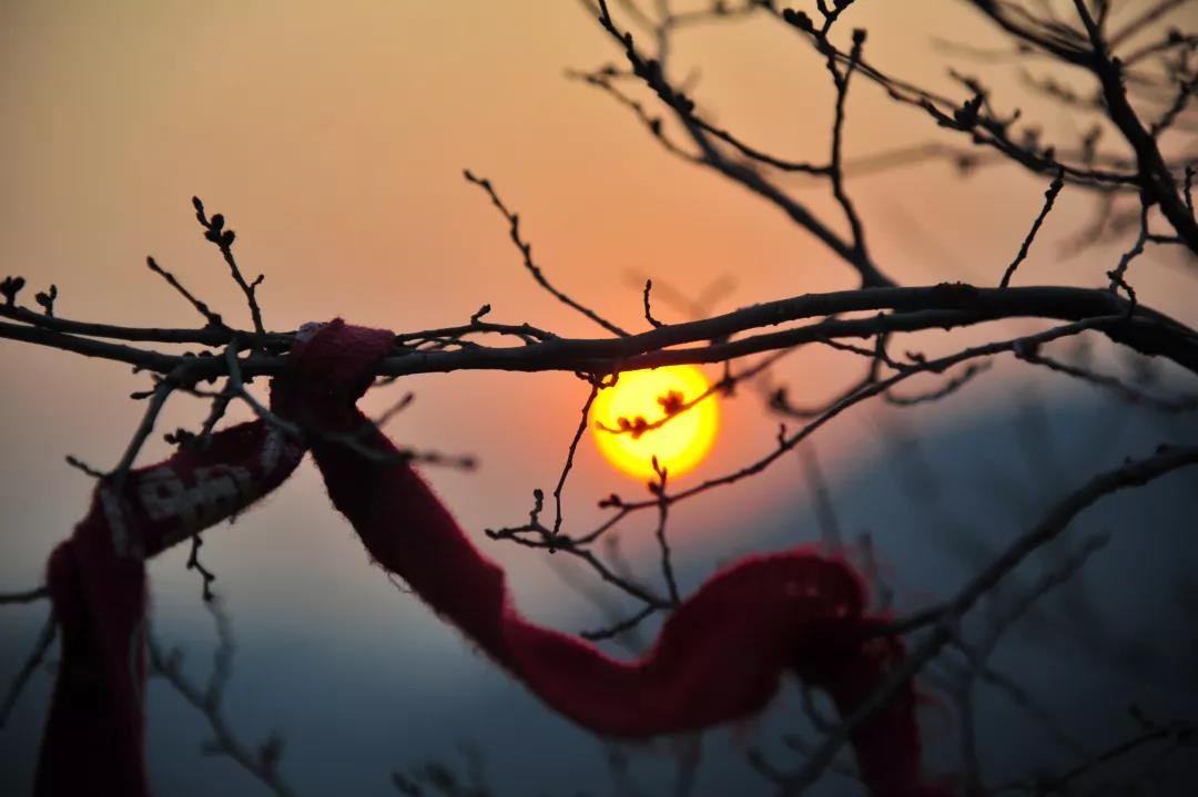 嘉华旅游|冬天的济南，美出了别样的绚烂！