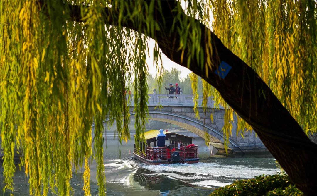 嘉华旅游|冬天的济南，美出了别样的绚烂！