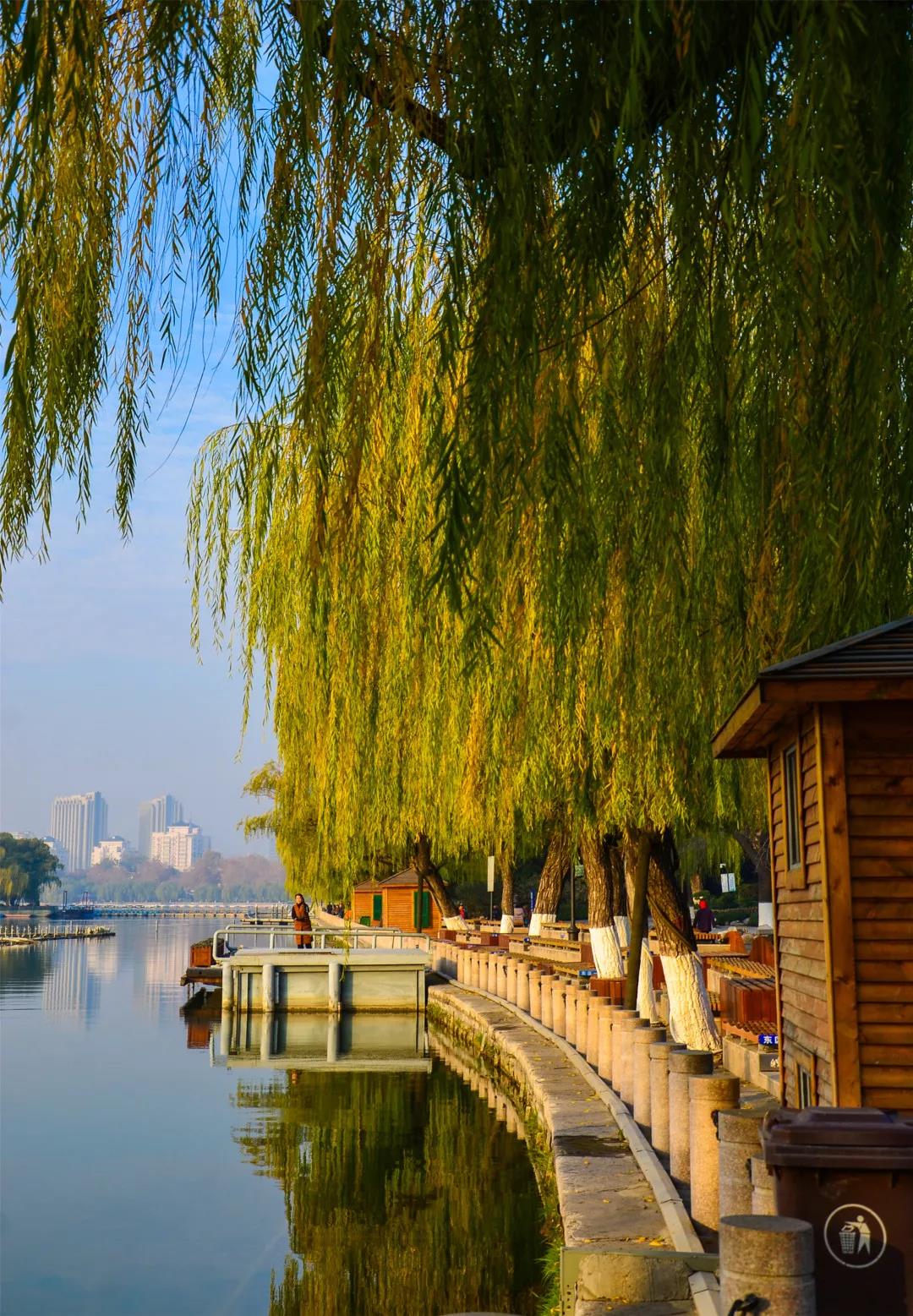 嘉华旅游|冬天的济南，美出了别样的绚烂！