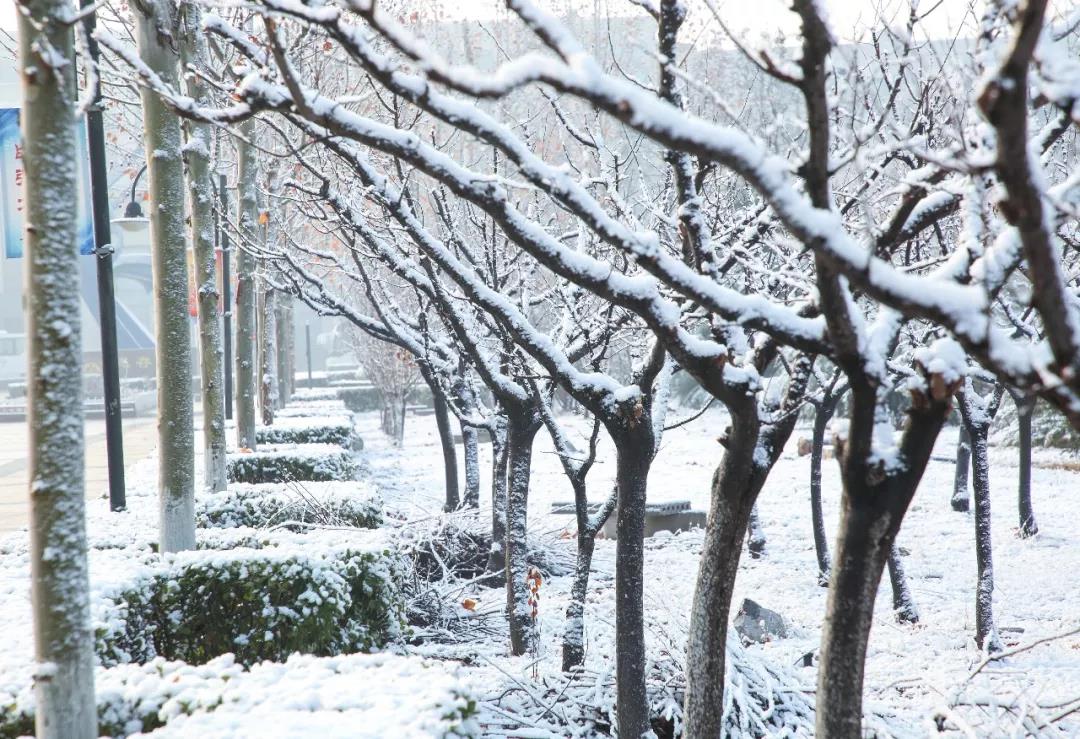 山东工程职业技术大学赠你一场“冰雪奇缘”！