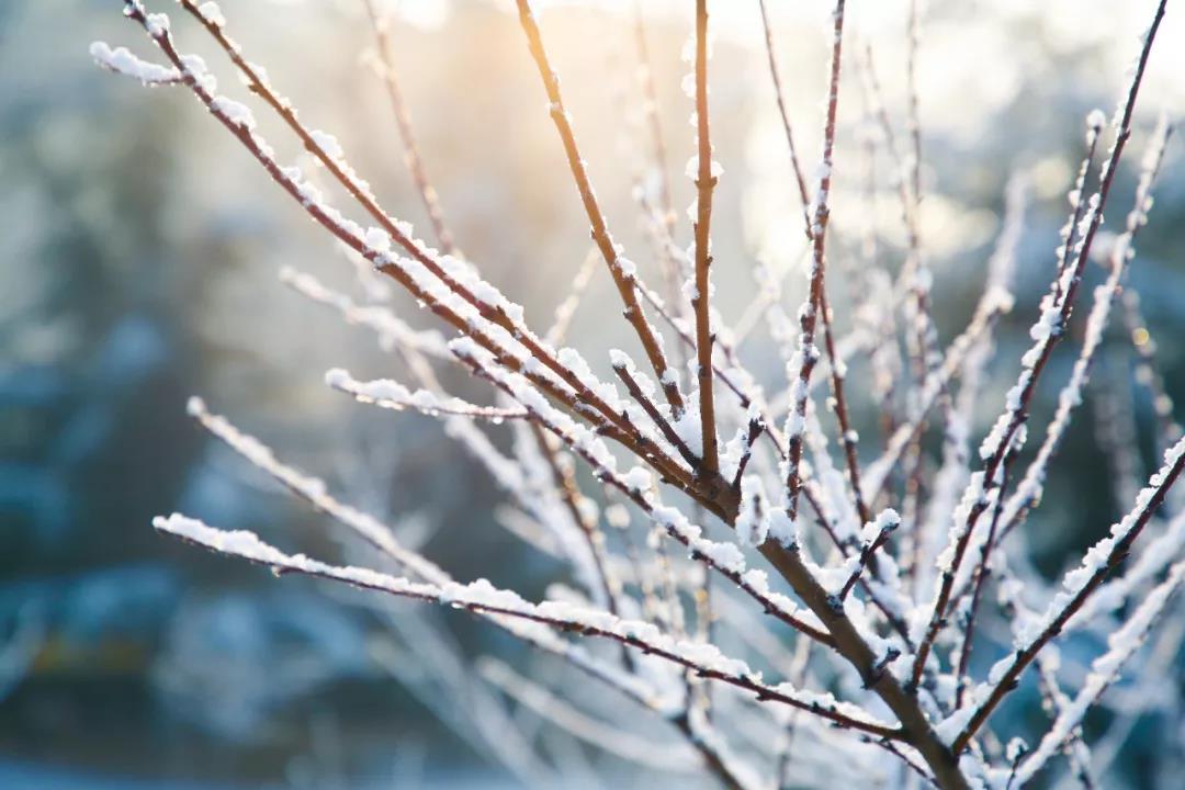 山东工程职业技术大学赠你一场“冰雪奇缘”！