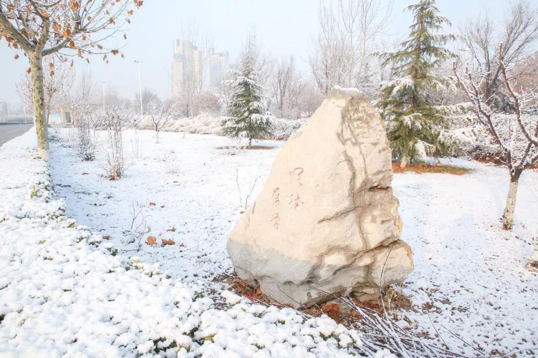 山东工程职业技术大学赠你一场“冰雪奇缘”！