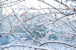 山东工程职业技术大学赠你一场“冰雪奇缘”！