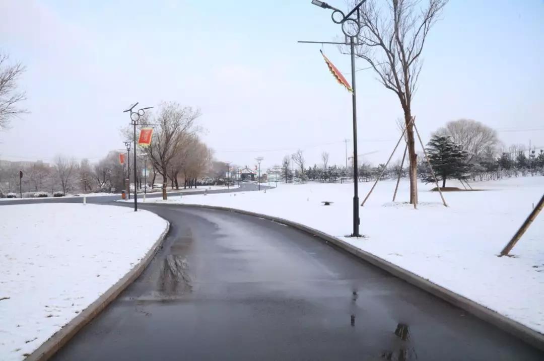 齐鲁酒地开启最美雪景模式，带上家人来酒地赏醉美的雪