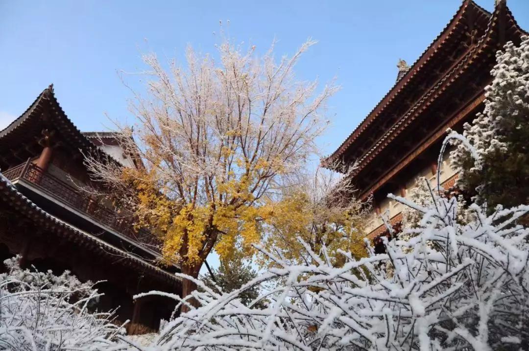 齐鲁酒地开启最美雪景模式，带上家人来酒地赏醉美的雪