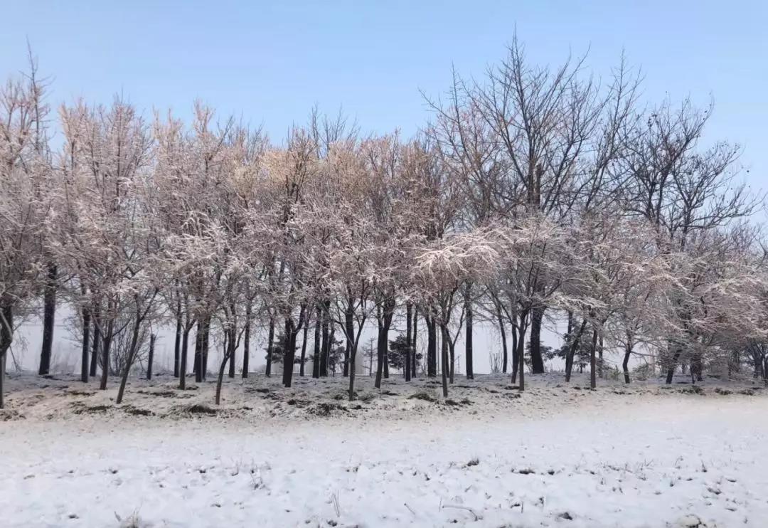 齐鲁酒地开启最美雪景模式，带上家人来酒地赏醉美的雪