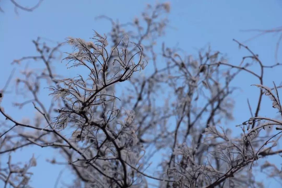 齐鲁酒地开启最美雪景模式，带上家人来酒地赏醉美的雪