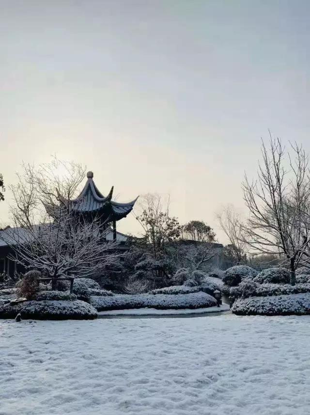 齐鲁酒地开启最美雪景模式，带上家人来酒地赏醉美的雪