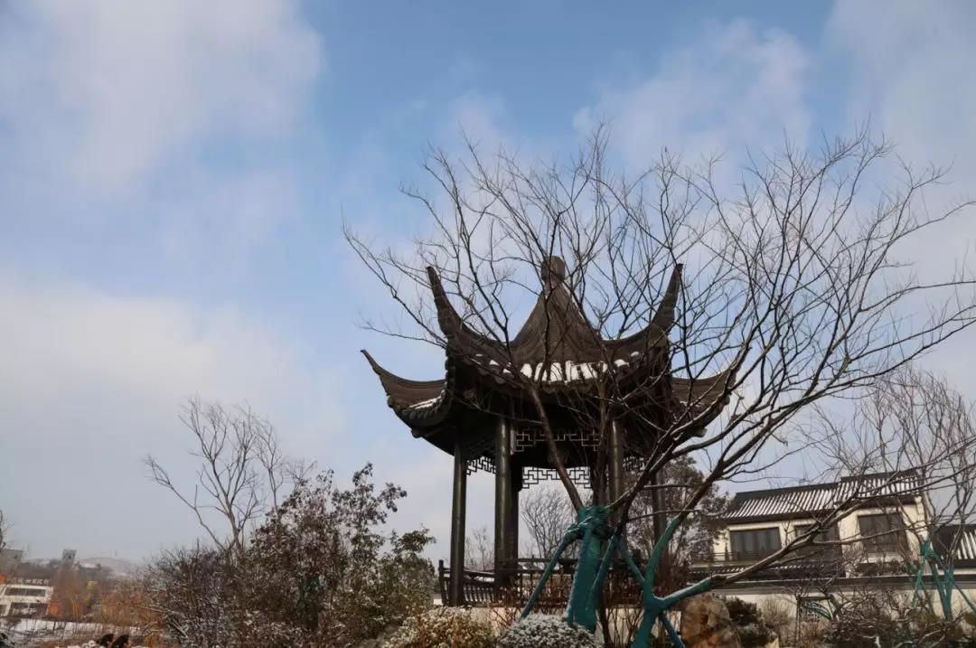 齐鲁酒地开启最美雪景模式，带上家人来酒地赏醉美的雪