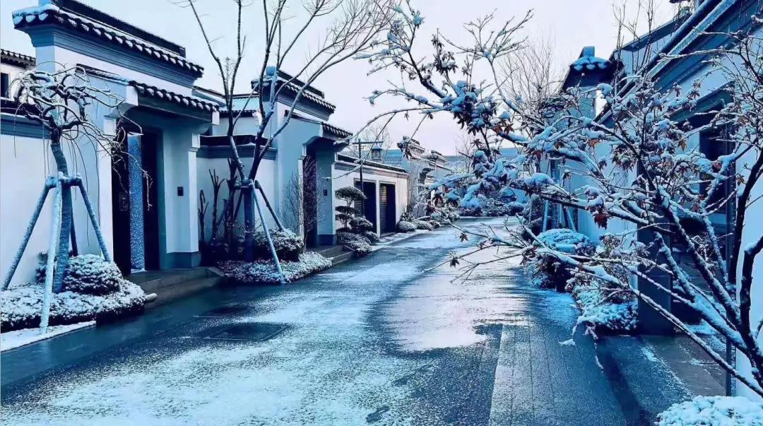 齐鲁酒地开启最美雪景模式，带上家人来酒地赏醉美的雪